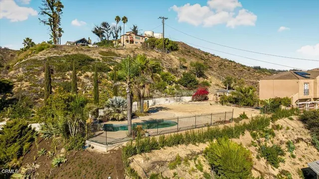 a view of a yard with a tree