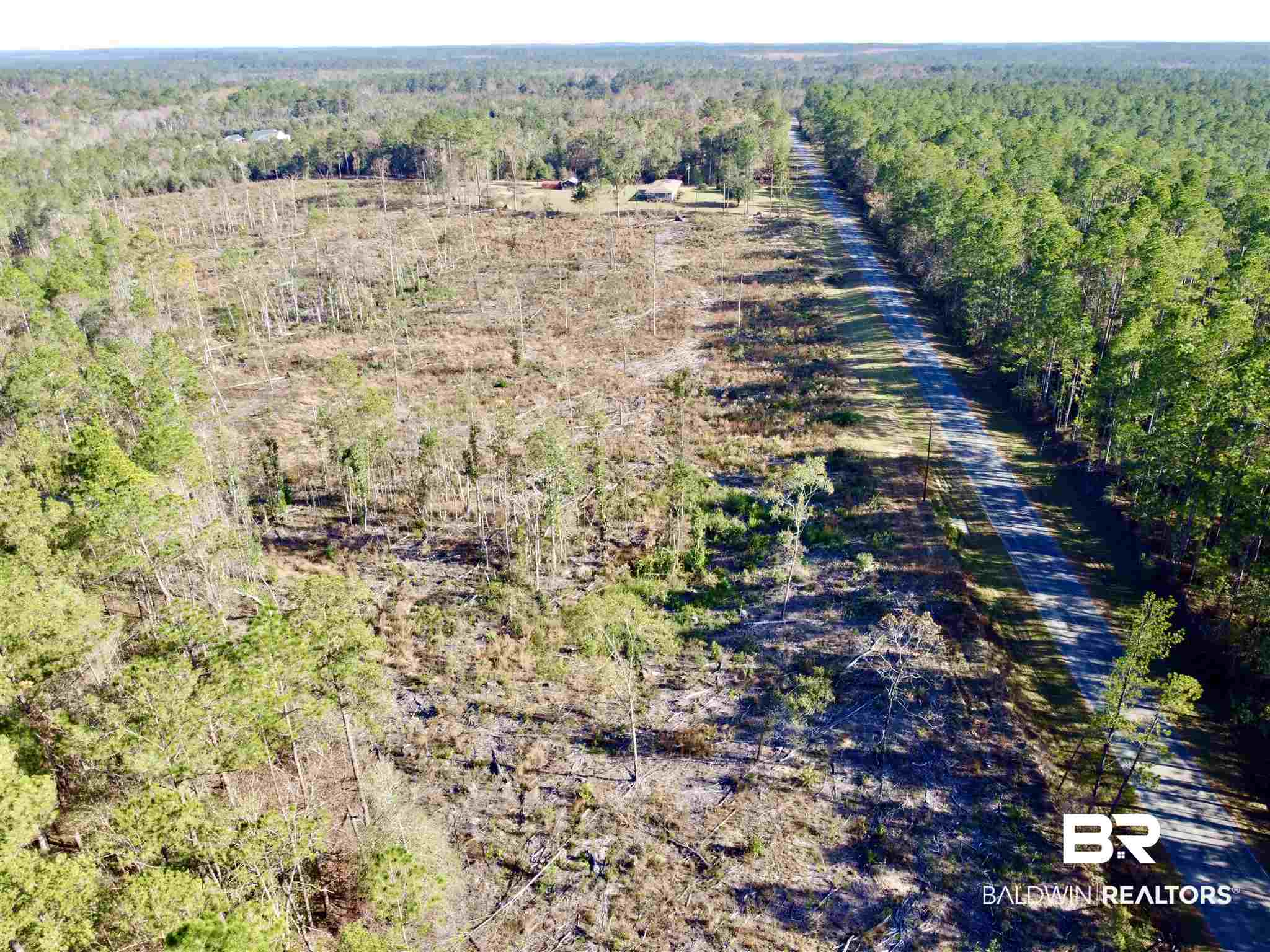 0 County Road 19 Chatom, AL 36518 - Photo 5 of 18
