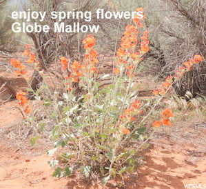 361 Thompson Cyn Road Thompson, UT 84540 - Photo 7 of 24 Blooms Spring & Fall.