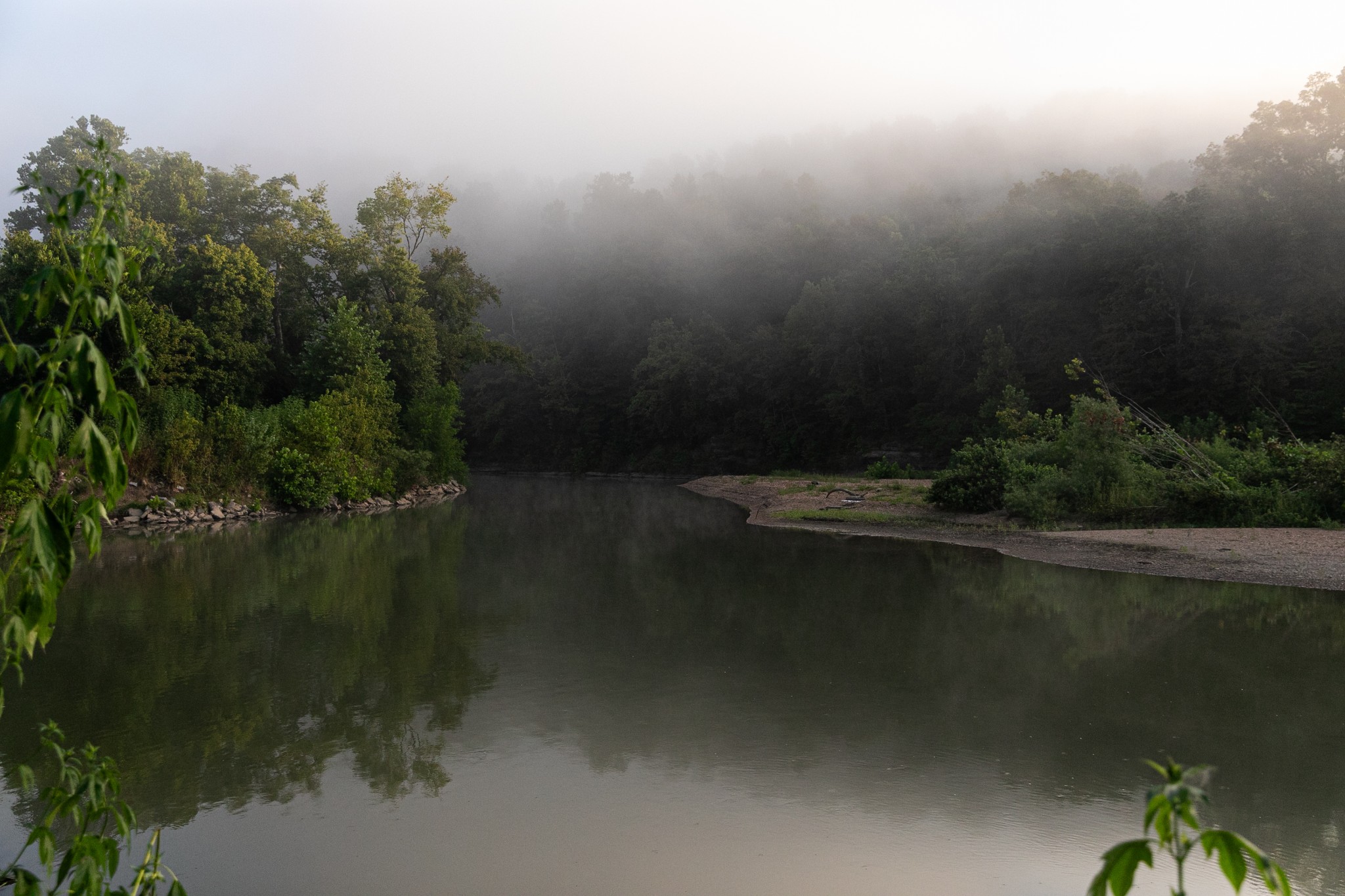 a view of a lake from a yard