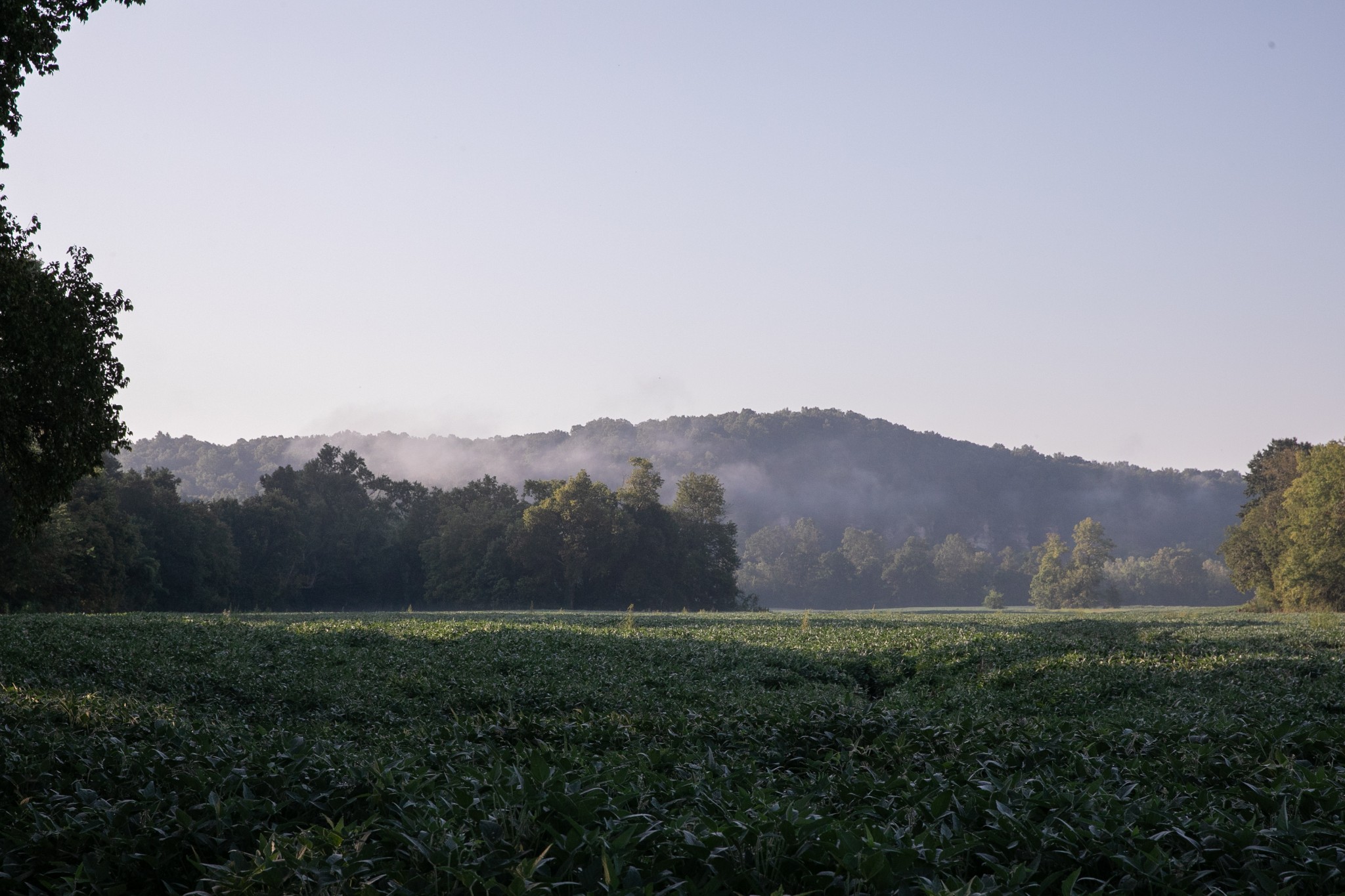 0 Collier Bend Road Charlotte, TN 37036 - Photo 13 of 77 a view of a backyard with green space