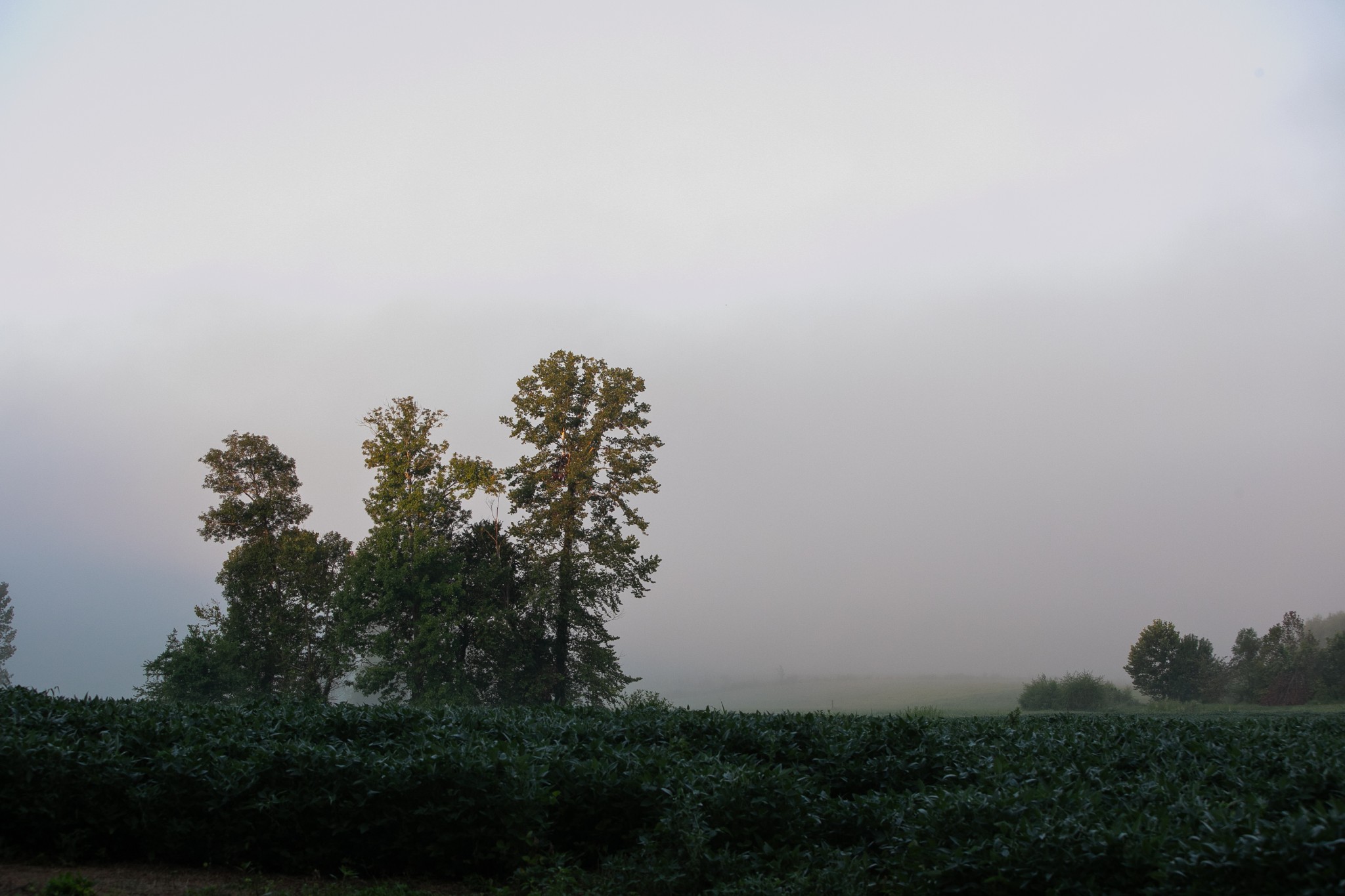 0 Collier Bend Road Charlotte, TN 37036 - Photo 19 of 77