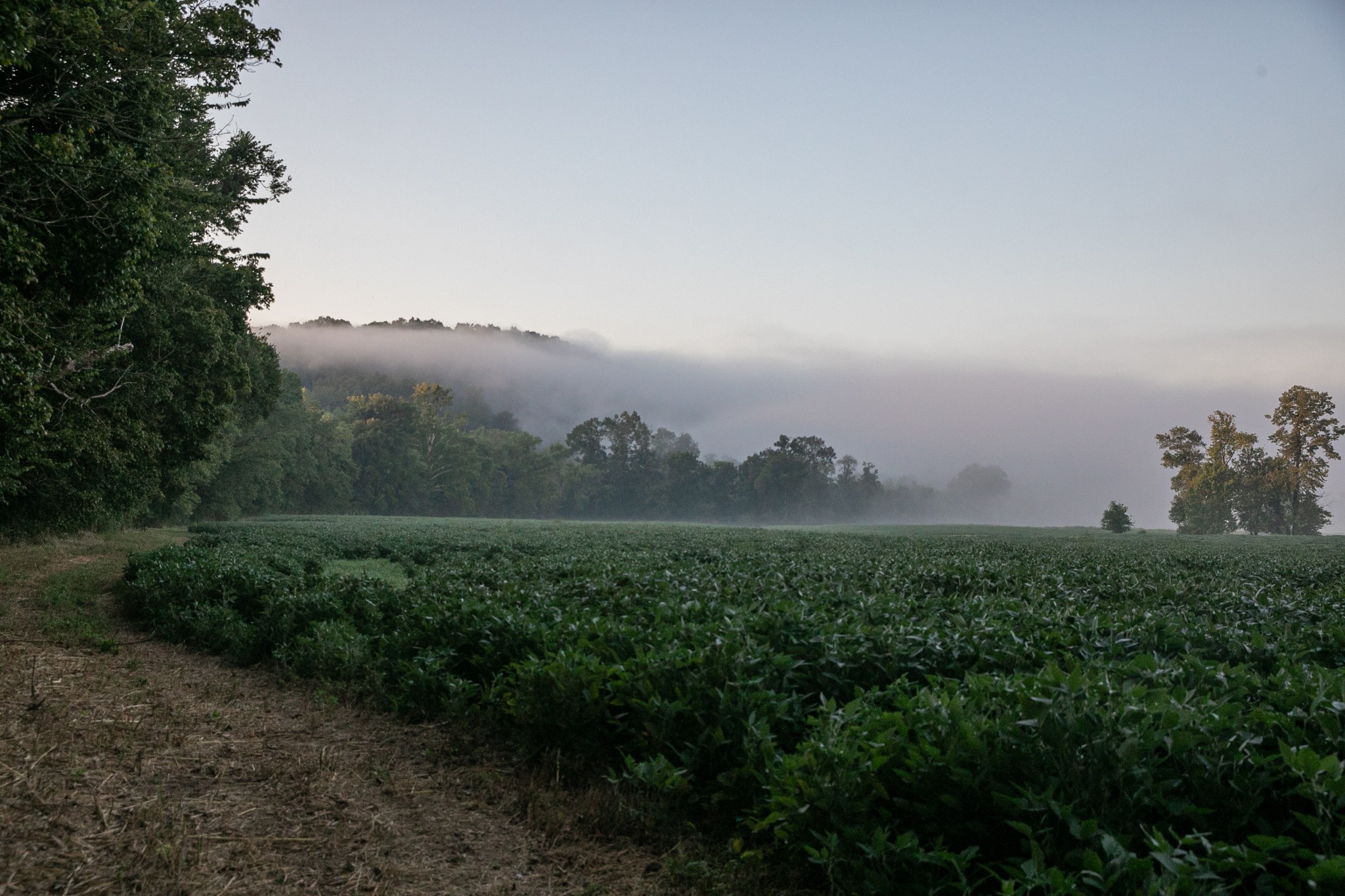 0 Collier Bend Road Charlotte, TN 37036 - Photo 21 of 77