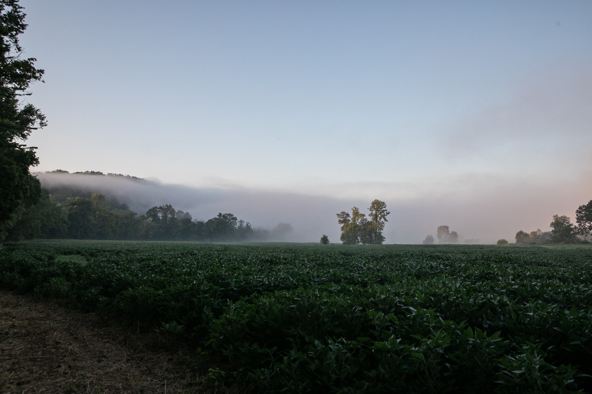 0 Collier Bend Road Charlotte, TN 37036 - Photo 22 of 77