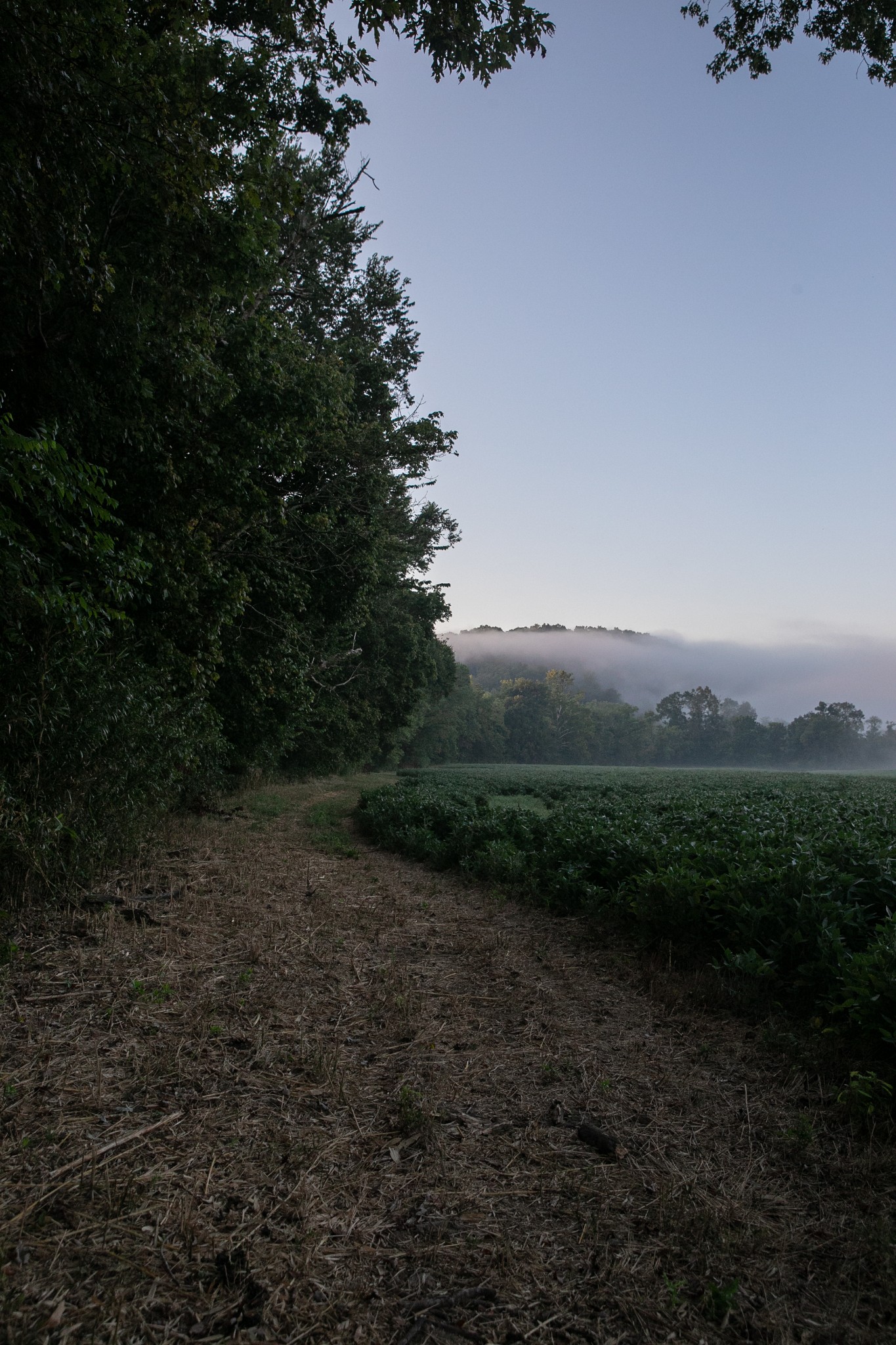 0 Collier Bend Road Charlotte, TN 37036 - Photo 23 of 77