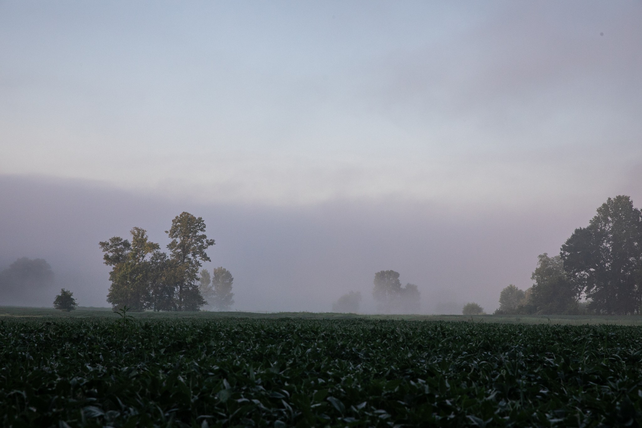 0 Collier Bend Road Charlotte, TN 37036 - Photo 24 of 77 a view of a bench in middle of the green field