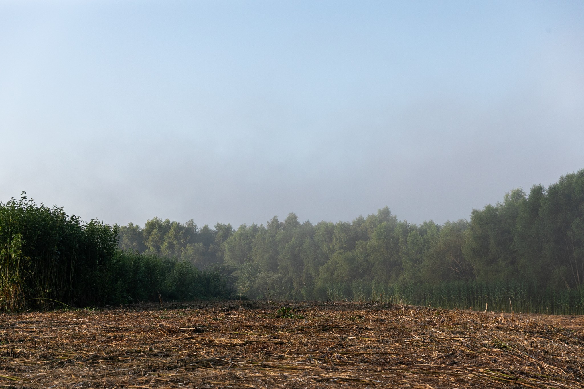 0 Collier Bend Road Charlotte, TN 37036 - Photo 28 of 77