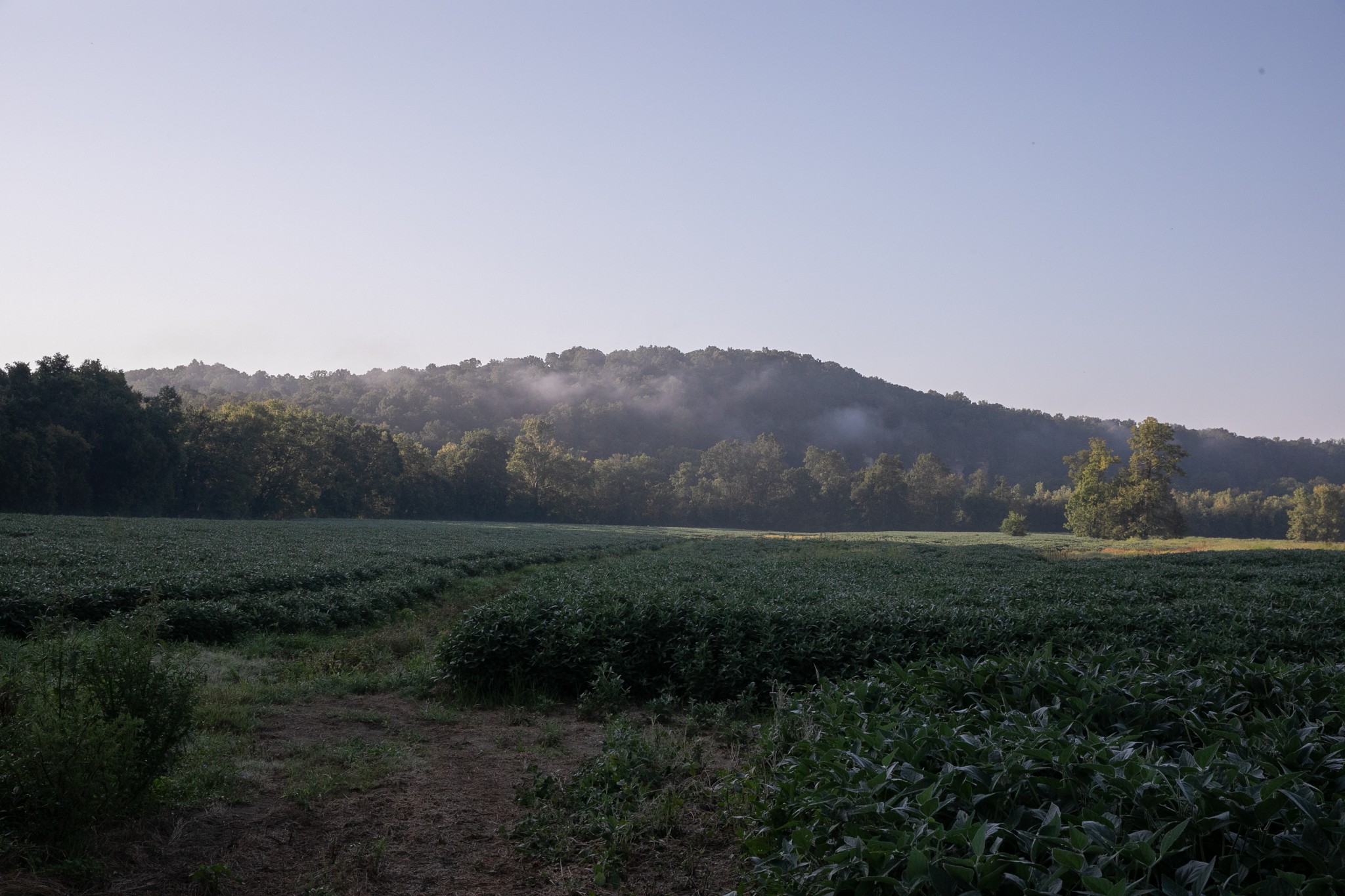 0 Collier Bend Road Charlotte, TN 37036 - Photo 30 of 77 a view of an outdoor space and mountains