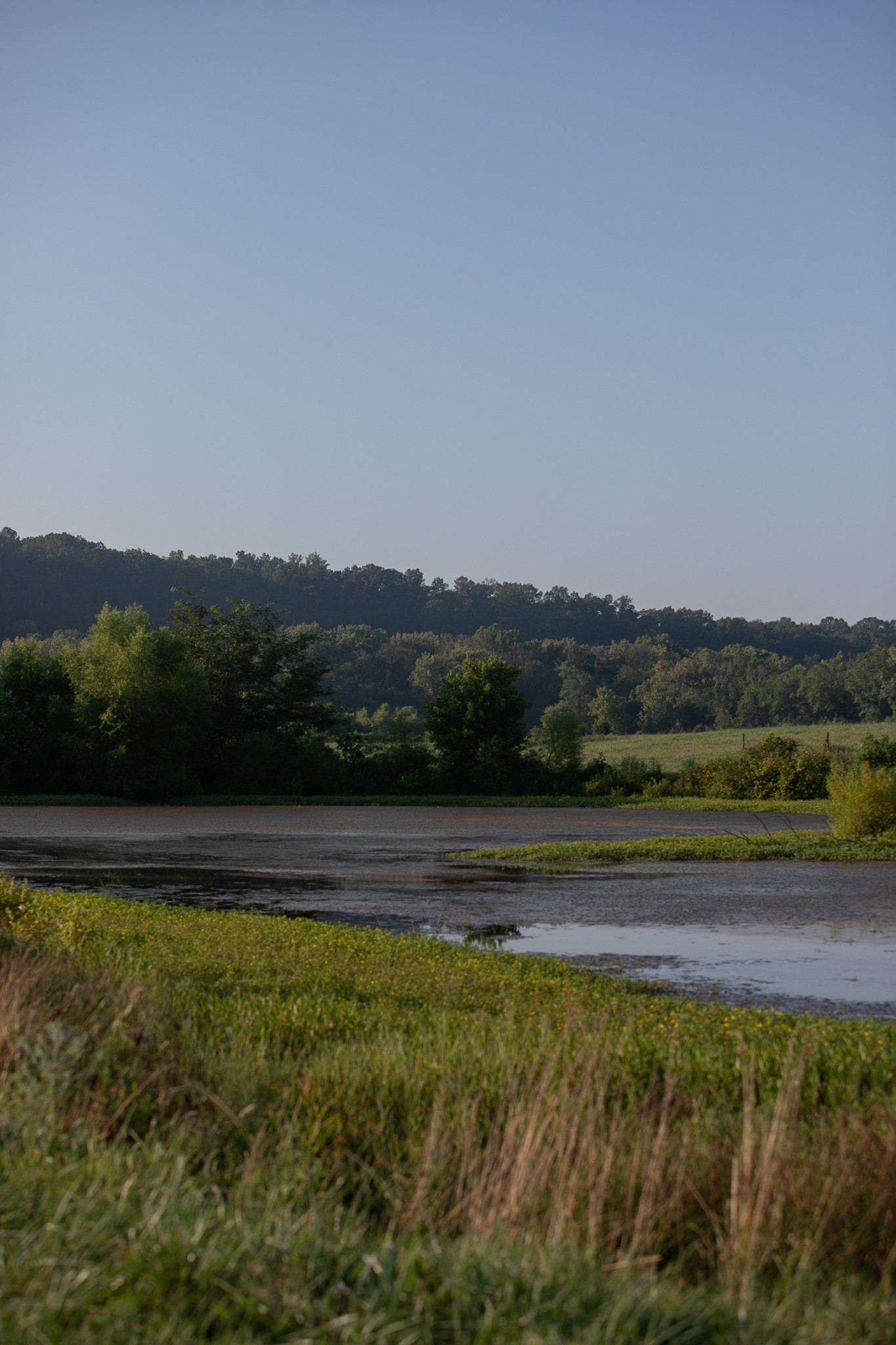 0 Collier Bend Road Charlotte, TN 37036 - Photo 33 of 77 a view of a field with mountains in the background