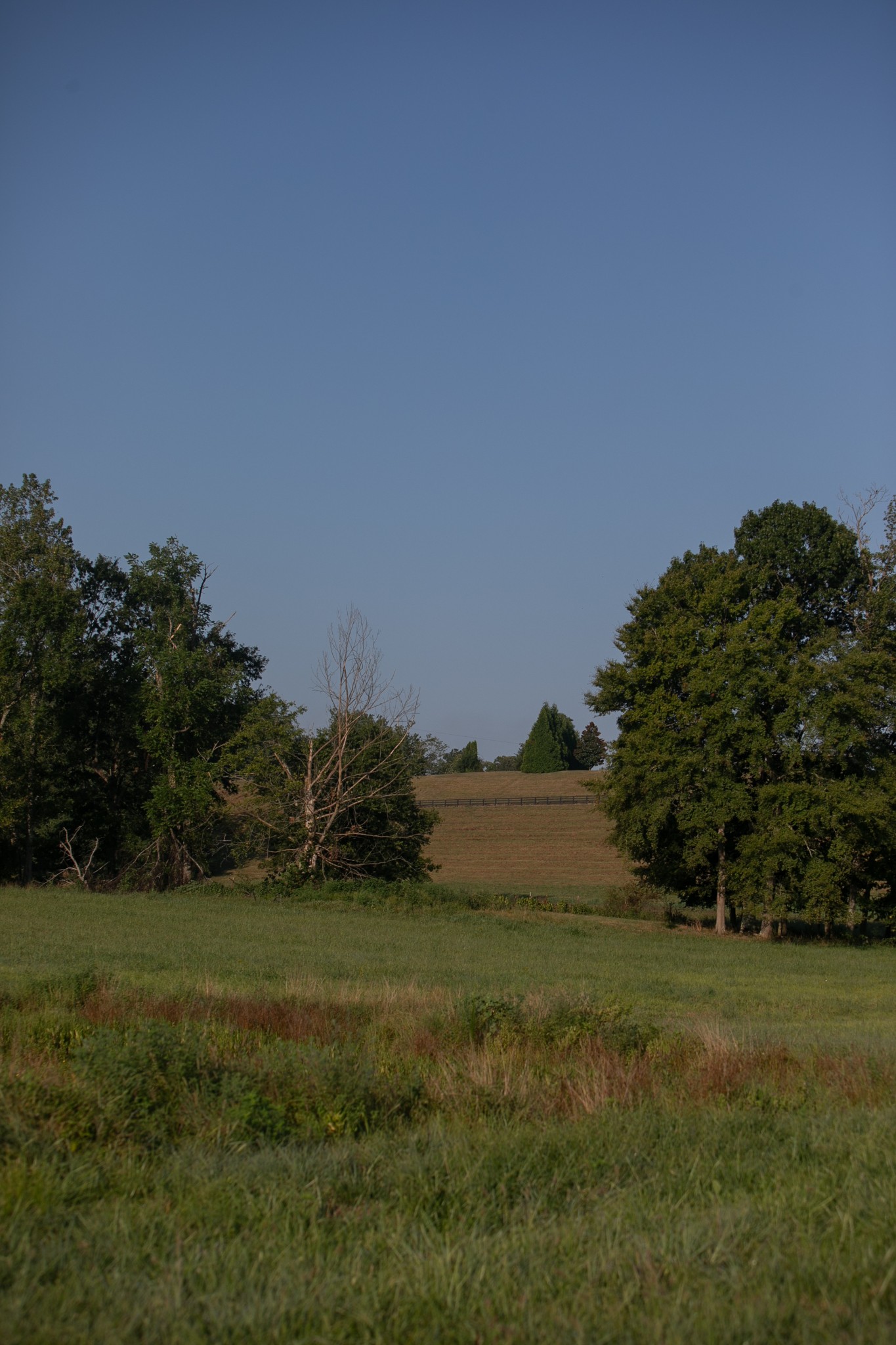 0 Collier Bend Road Charlotte, TN 37036 - Photo 34 of 77 a view of a grassy field with trees