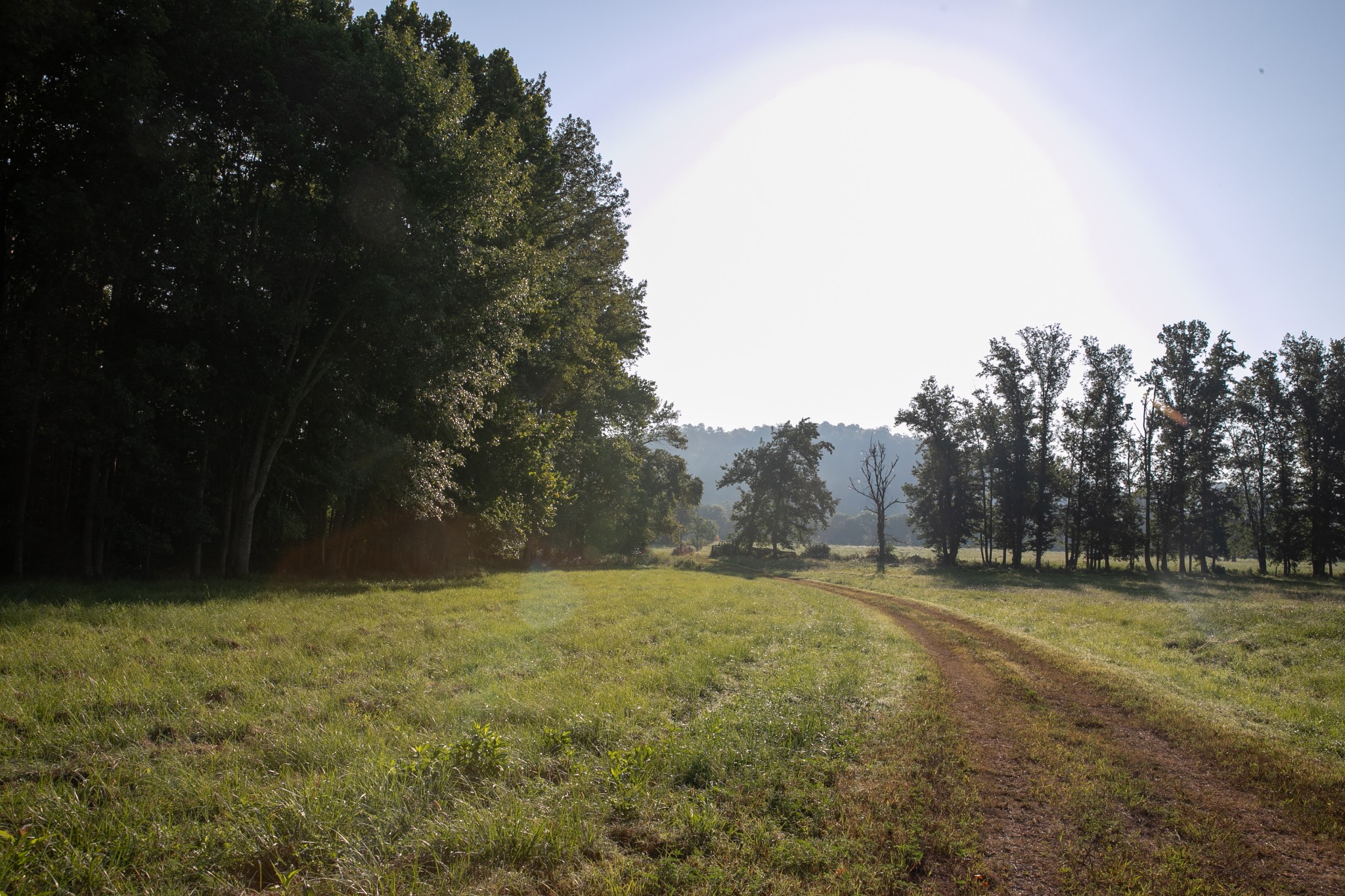 0 Collier Bend Road Charlotte, TN 37036 - Photo 37 of 77 a view of outdoor space with trees all around