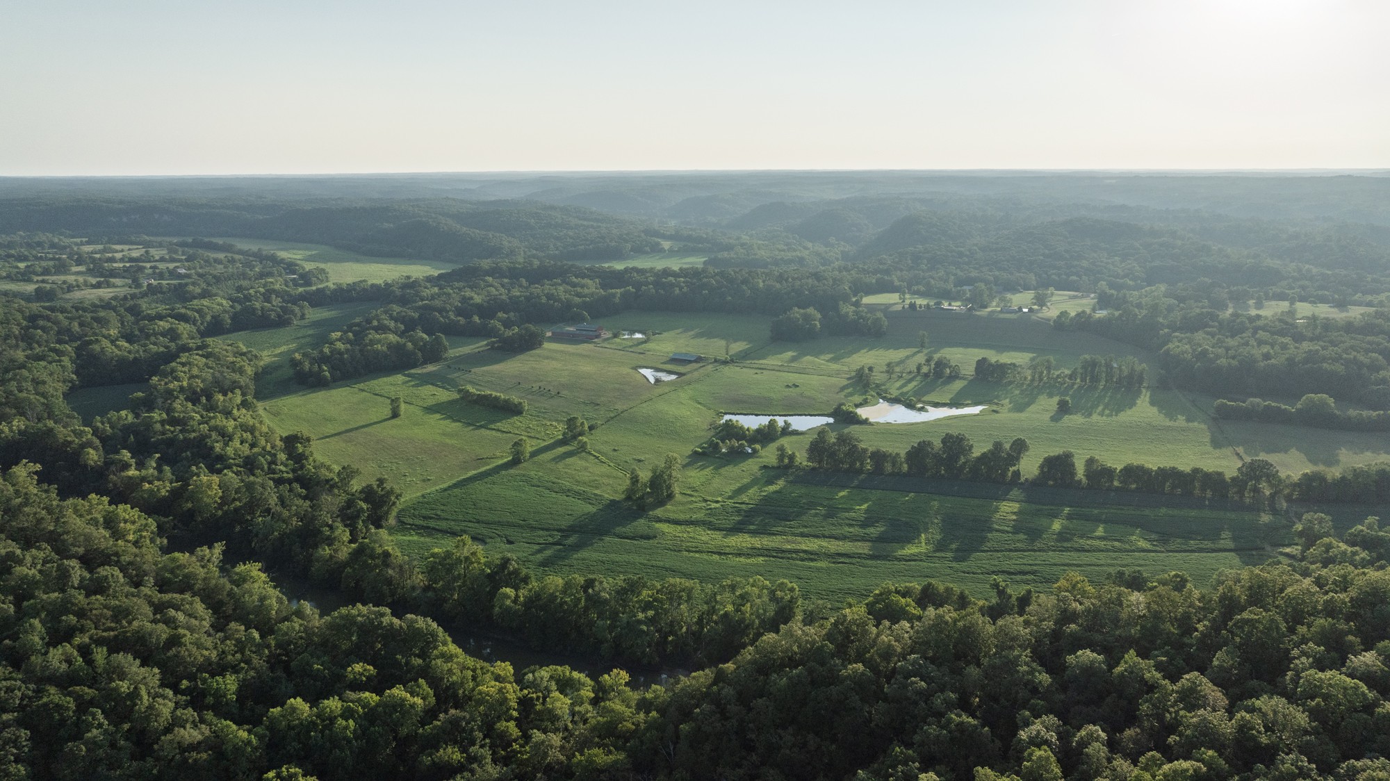 0 Collier Bend Road Charlotte, TN 37036 - Photo 4 of 77 a view of a lake in middle of forest