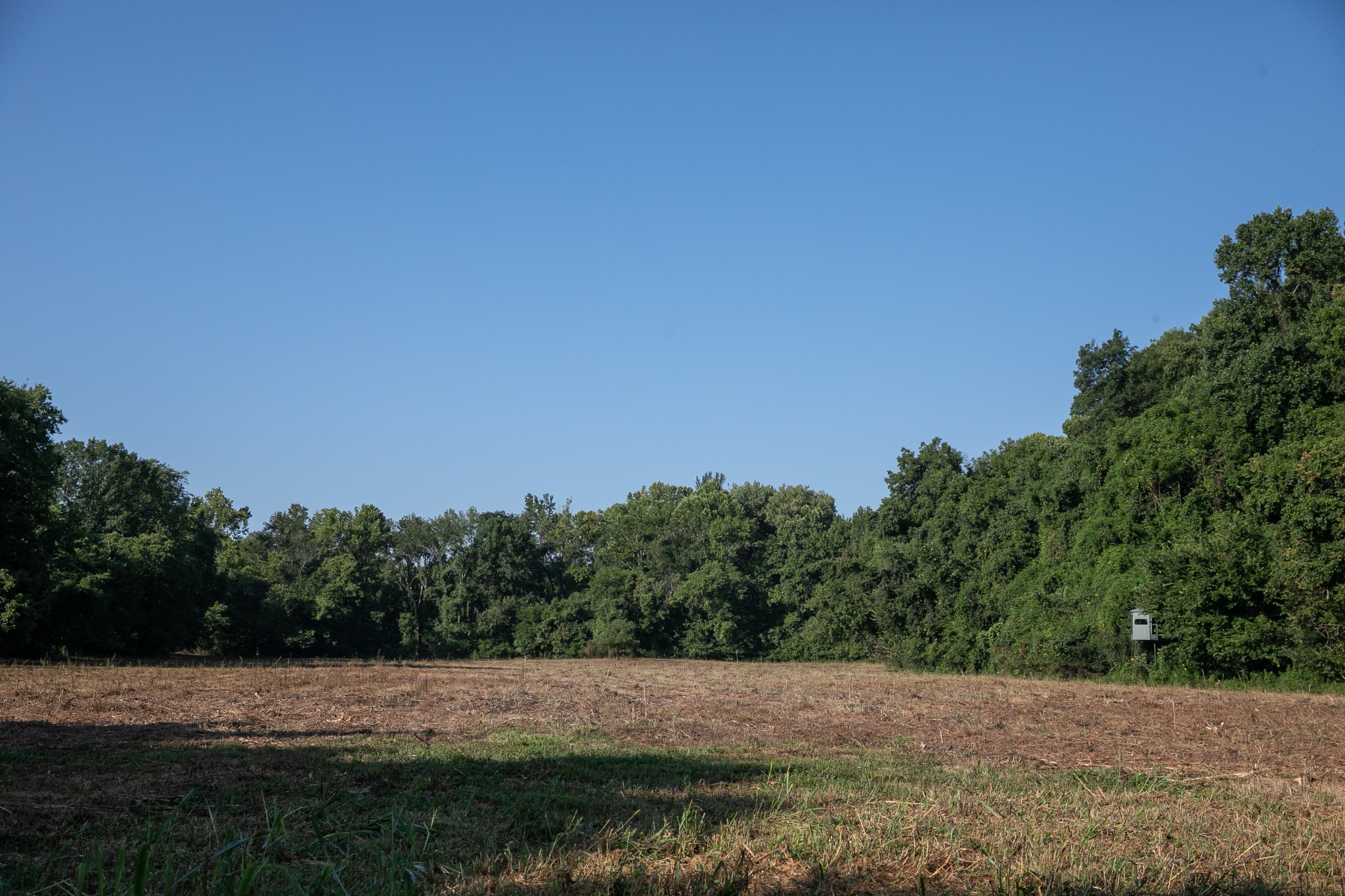 0 Collier Bend Road Charlotte, TN 37036 - Photo 41 of 77 a view of an outdoor space with mountain view