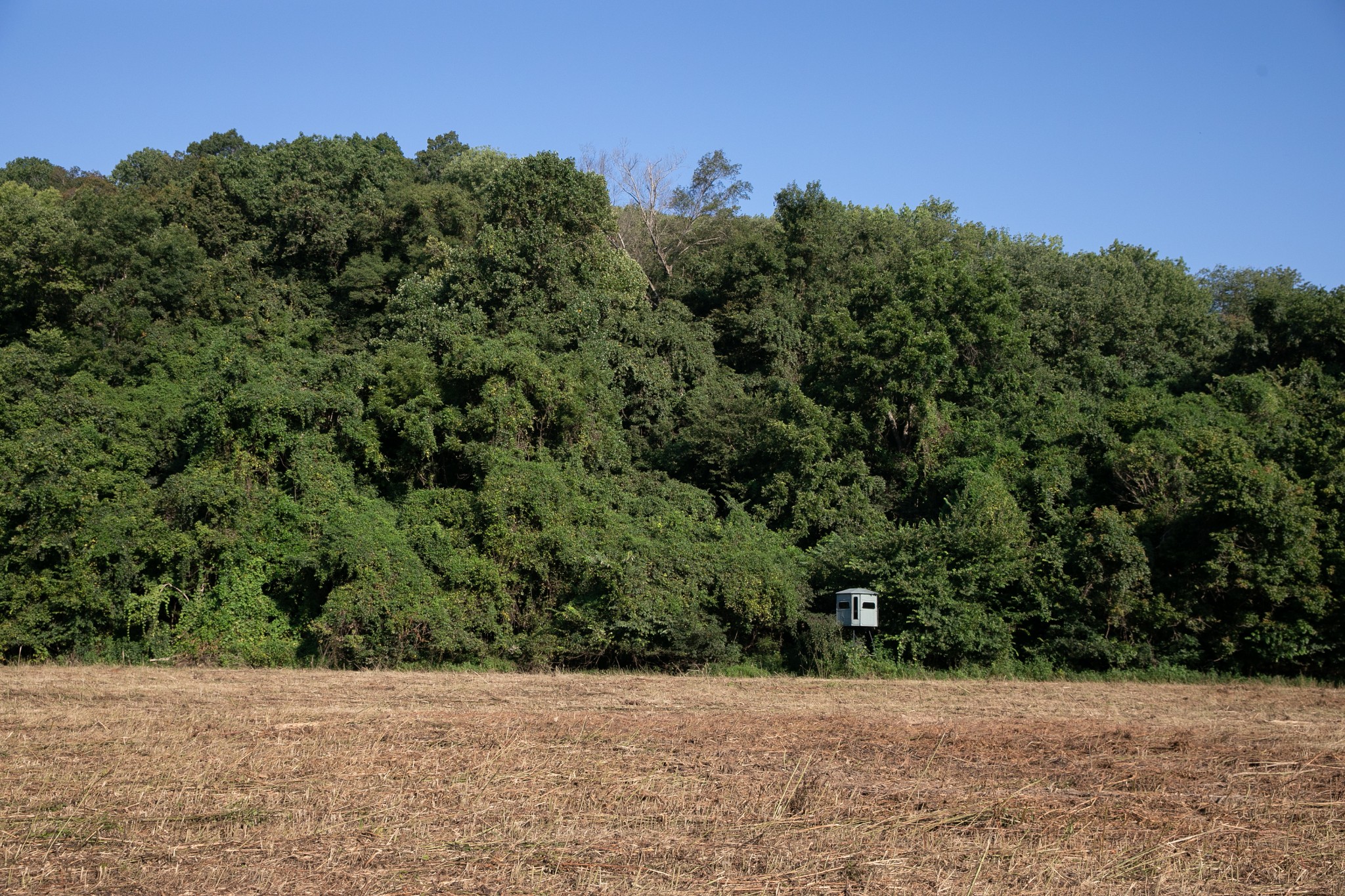 0 Collier Bend Road Charlotte, TN 37036 - Photo 42 of 77 a view of a tree with a wooden fence