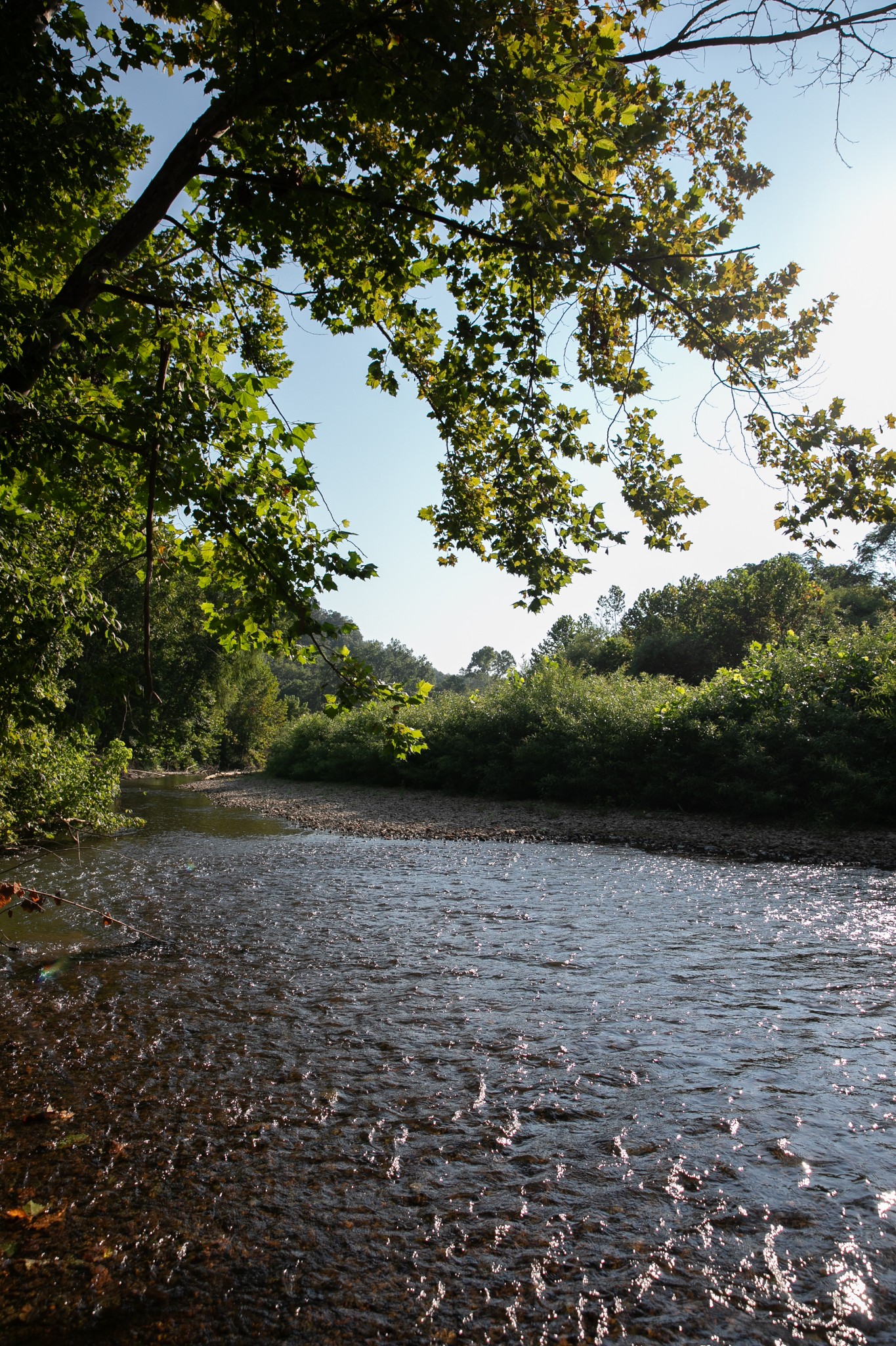 0 Collier Bend Road Charlotte, TN 37036 - Photo 43 of 77 a view of lake with green space
