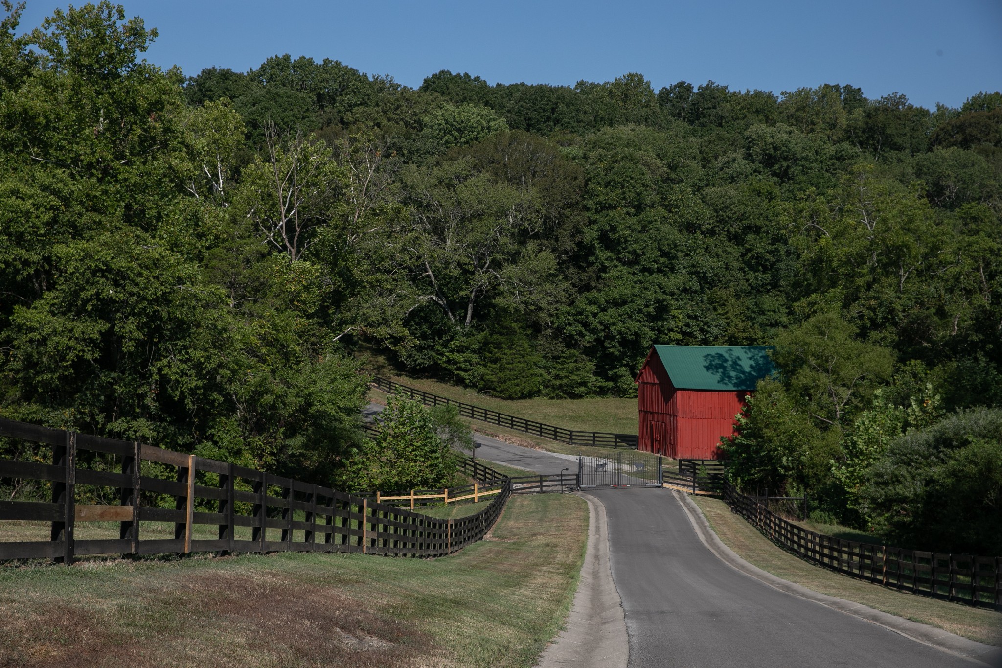 0 Collier Bend Road Charlotte, TN 37036 - Photo 50 of 77 a view of a garden with potted plants