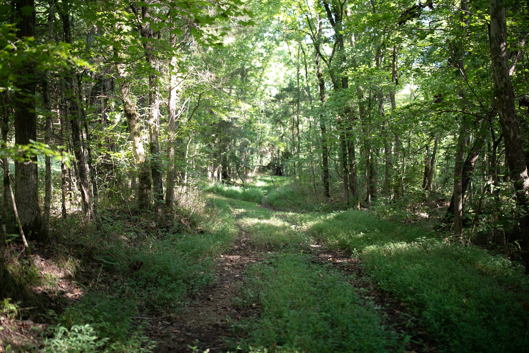 0 Collier Bend Road Charlotte, TN 37036 - Photo 51 of 77