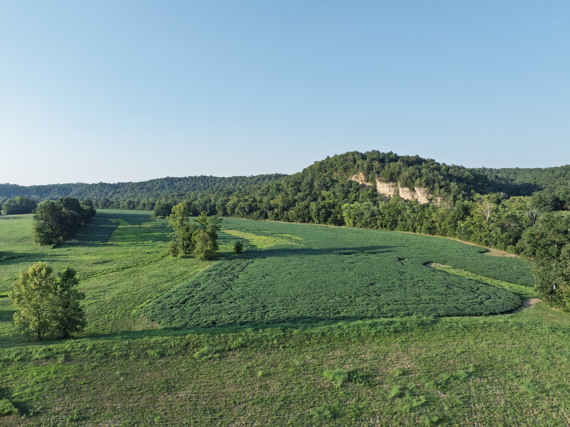 0 Collier Bend Road Charlotte, TN 37036 - Photo 63 of 77 a view of a grassy field with trees