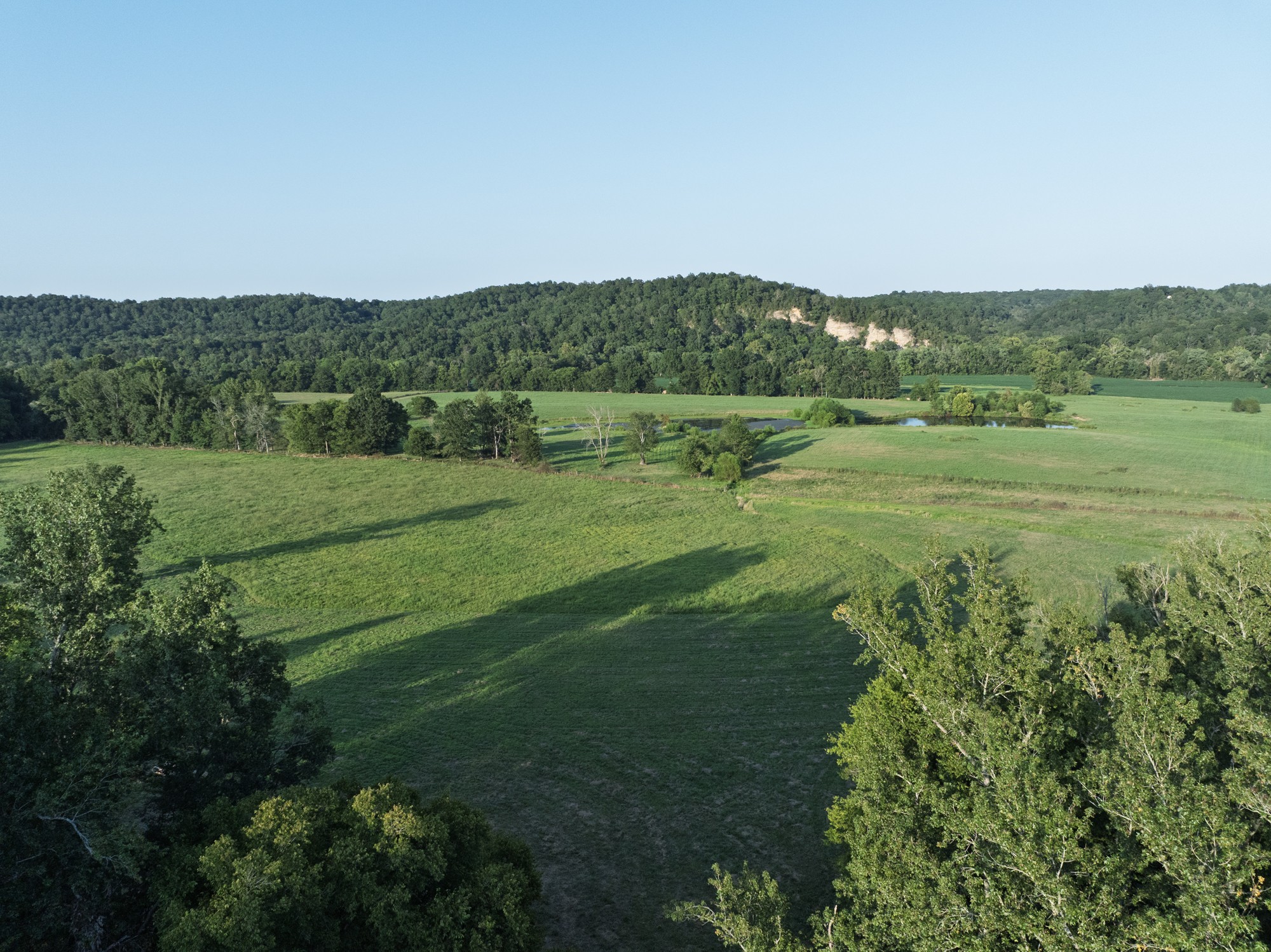 0 Collier Bend Road Charlotte, TN 37036 - Photo 70 of 77 a view of an outdoor space and a yard