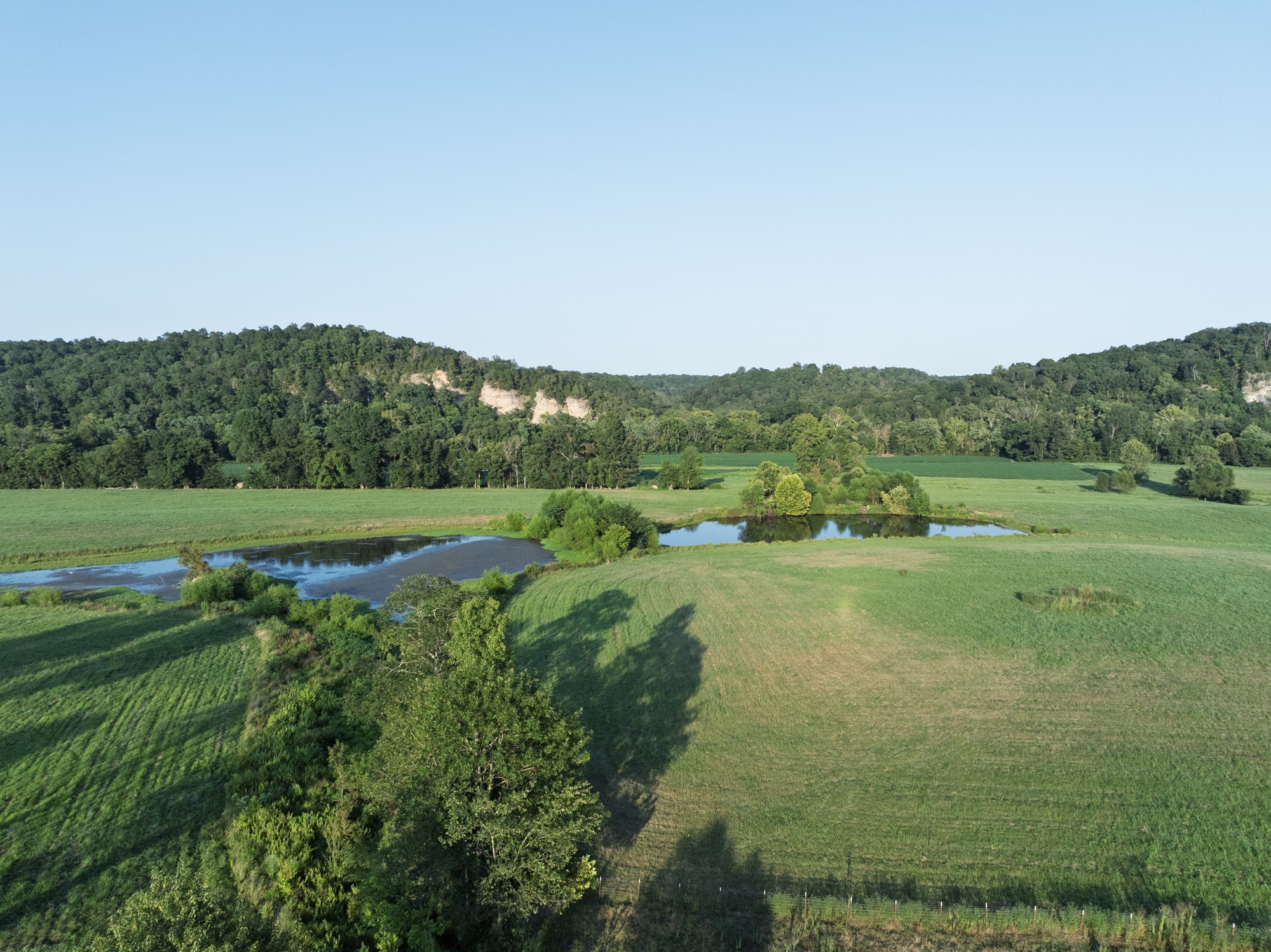 0 Collier Bend Road Charlotte, TN 37036 - Photo 72 of 77 a view of a grassy field with trees