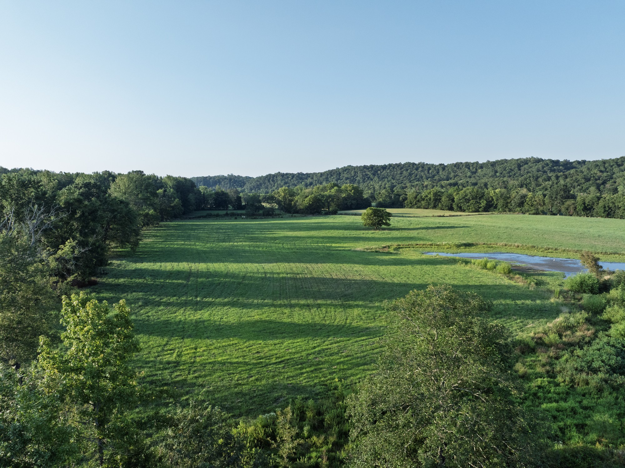 0 Collier Bend Road Charlotte, TN 37036 - Photo 74 of 77 a view of a grassy field with trees