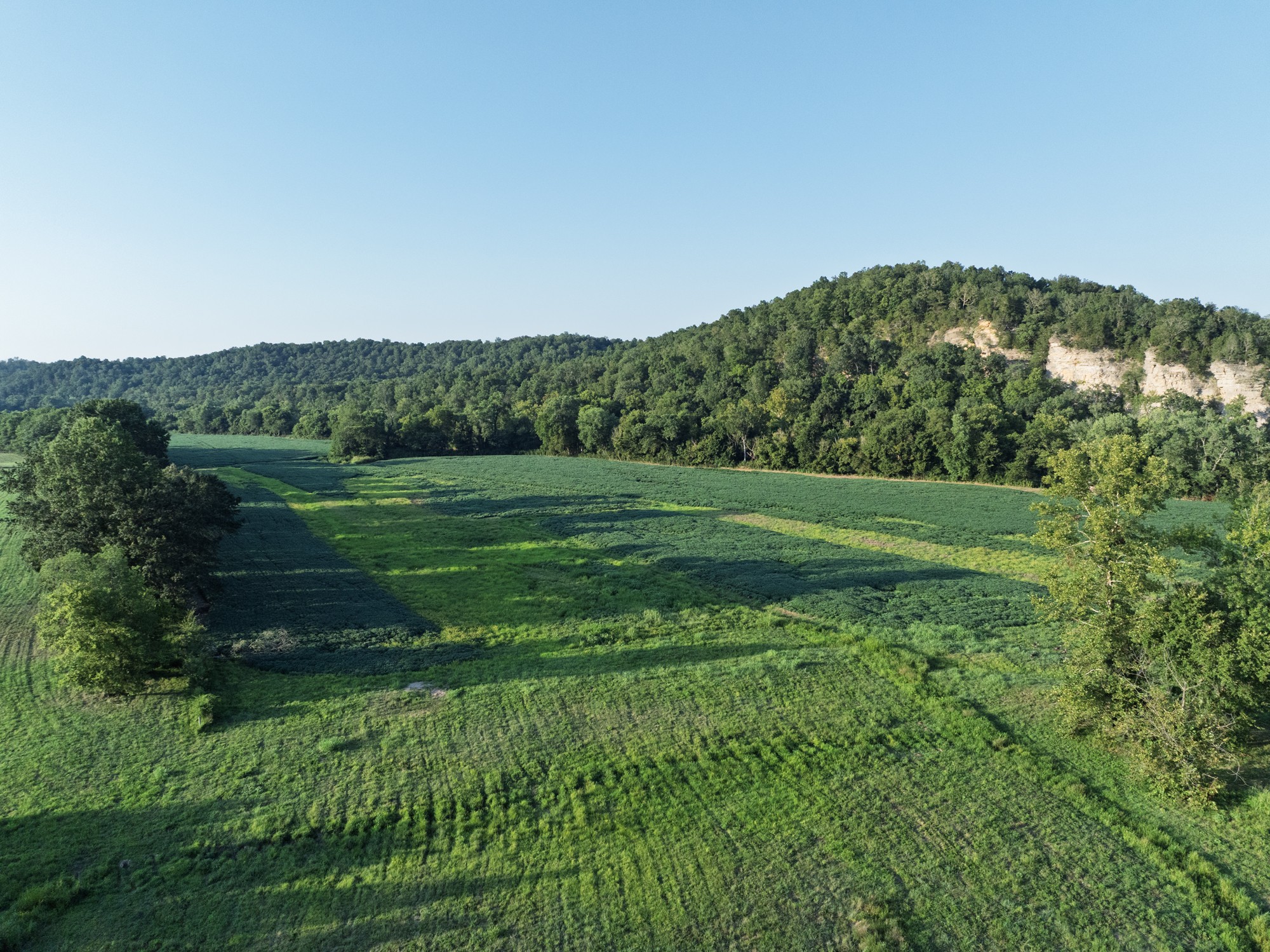 0 Collier Bend Road Charlotte, TN 37036 - Photo 75 of 77 a view of a grassy field with an trees