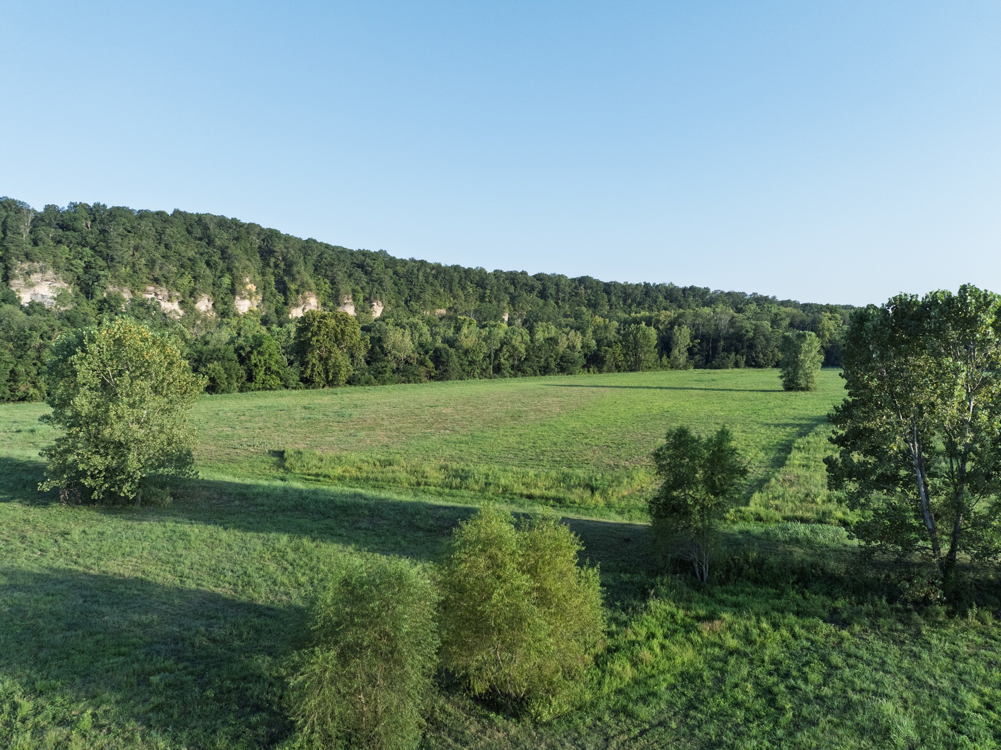 0 Collier Bend Road Charlotte, TN 37036 - Photo 76 of 77 a view of a grassy field with trees