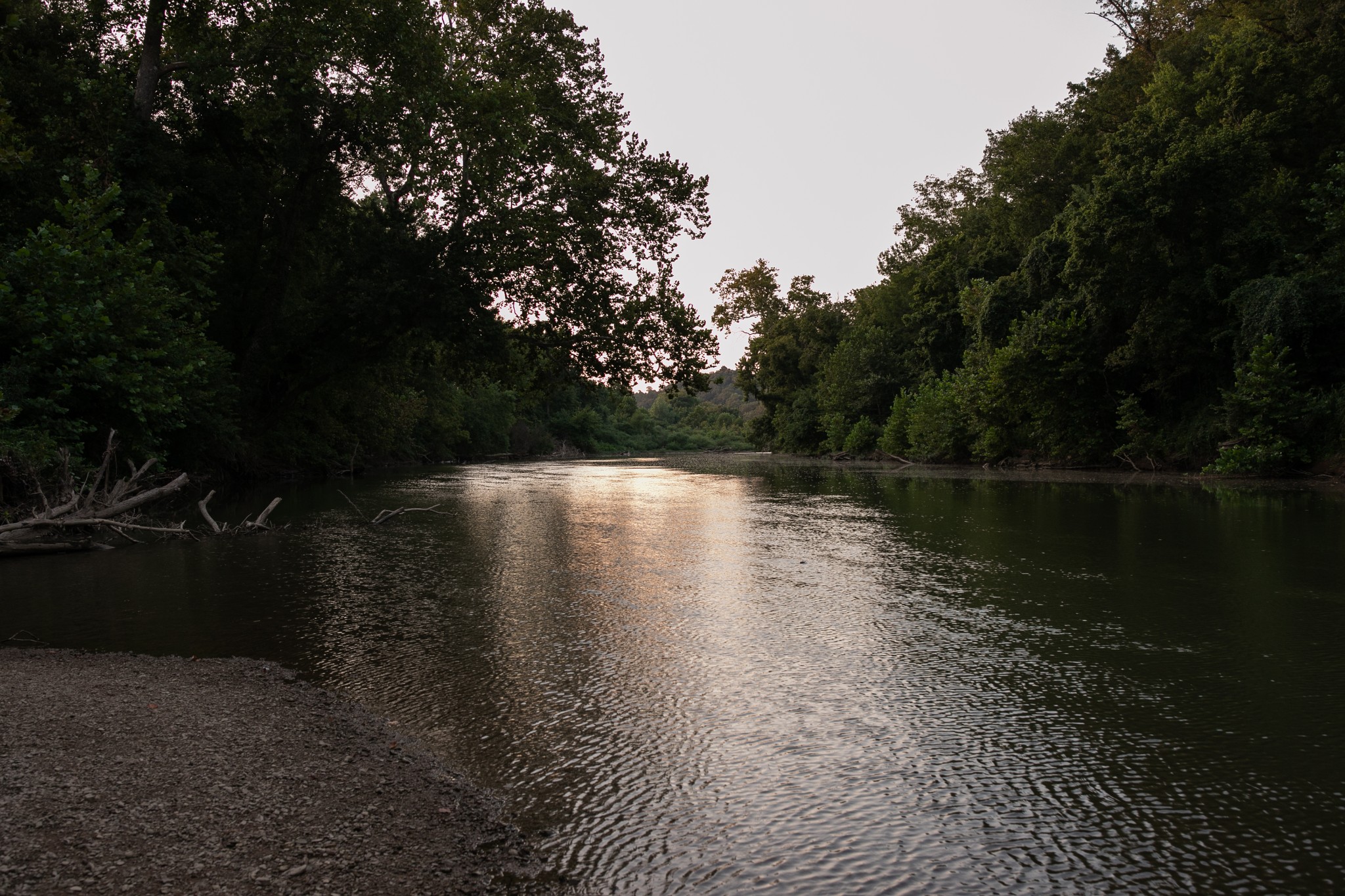 0 Collier Bend Road Charlotte, TN 37036 - Photo 8 of 77