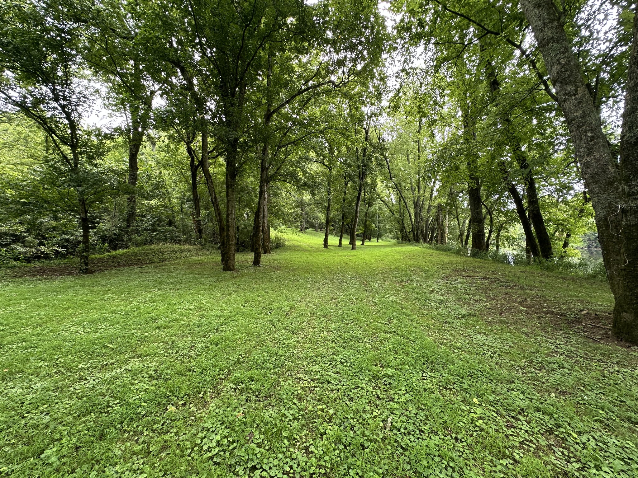 268 Ben Gentry Road Elmwood, TN 38560 - Photo 17 of 36 Gallery Image 17