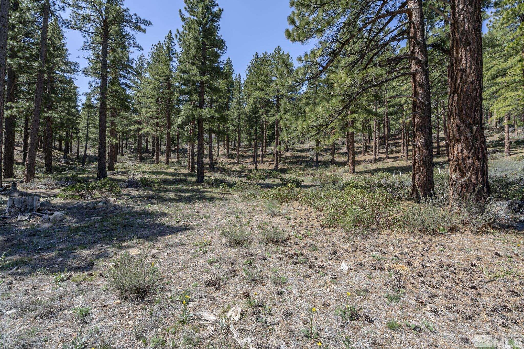 0 Abies Road, Unit PARCEL 2 Reno, NV 89511 - Photo 11 of 16 Photo 11