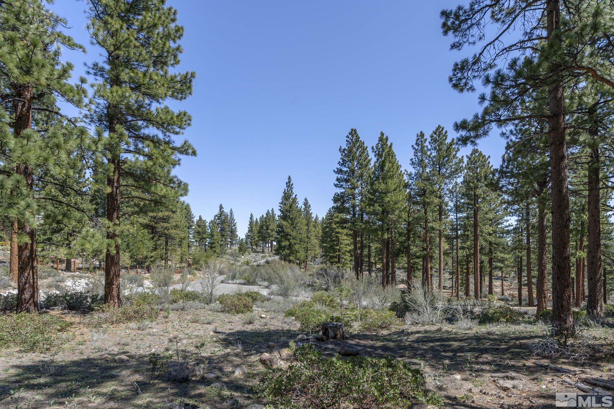 0 Abies Road, Unit PARCEL 2 Reno, NV 89511 - Photo 12 of 16 Photo 12