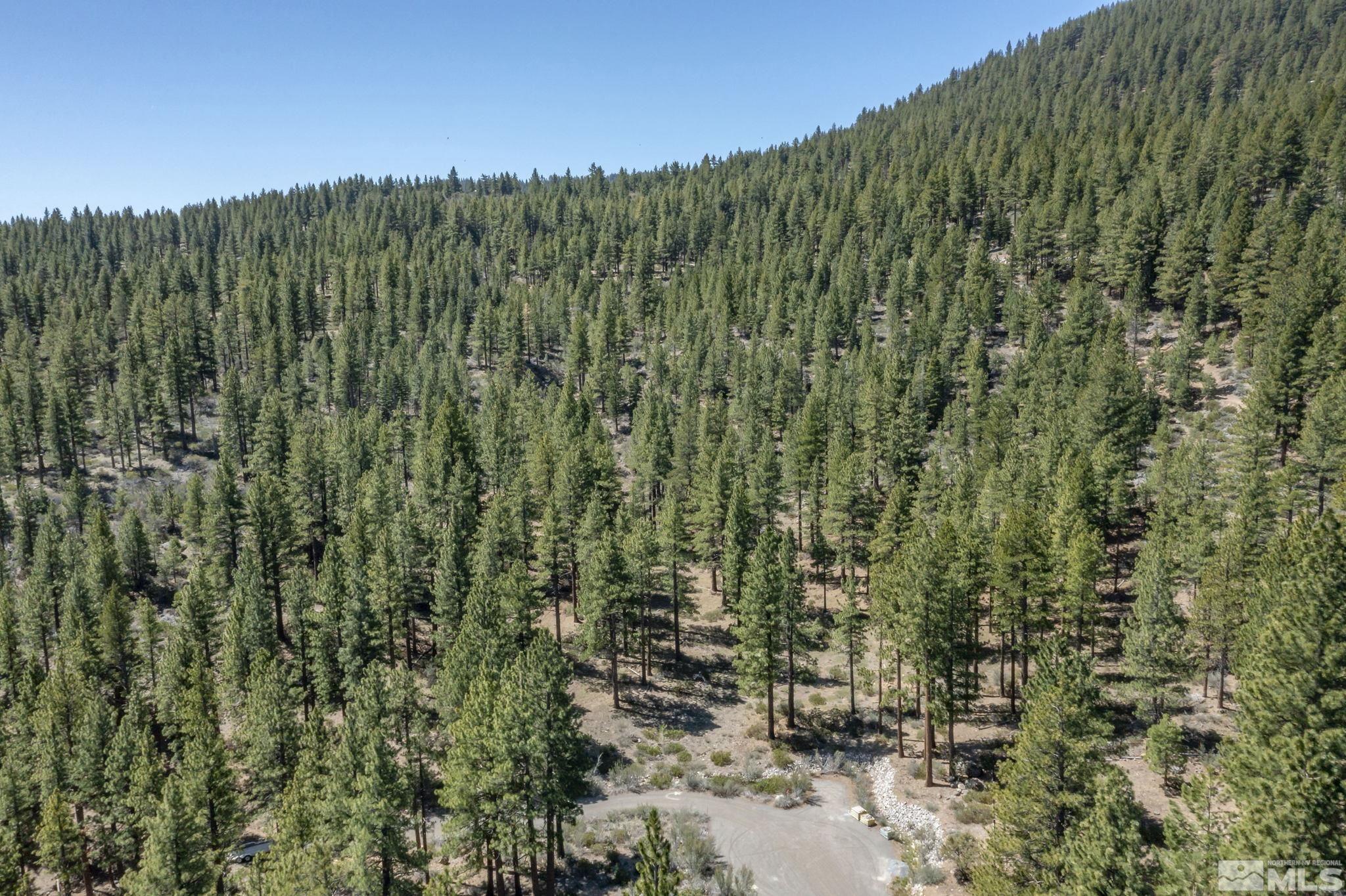0 Abies Road, Unit PARCEL 2 Reno, NV 89511 - Photo 7 of 16 Photo 7