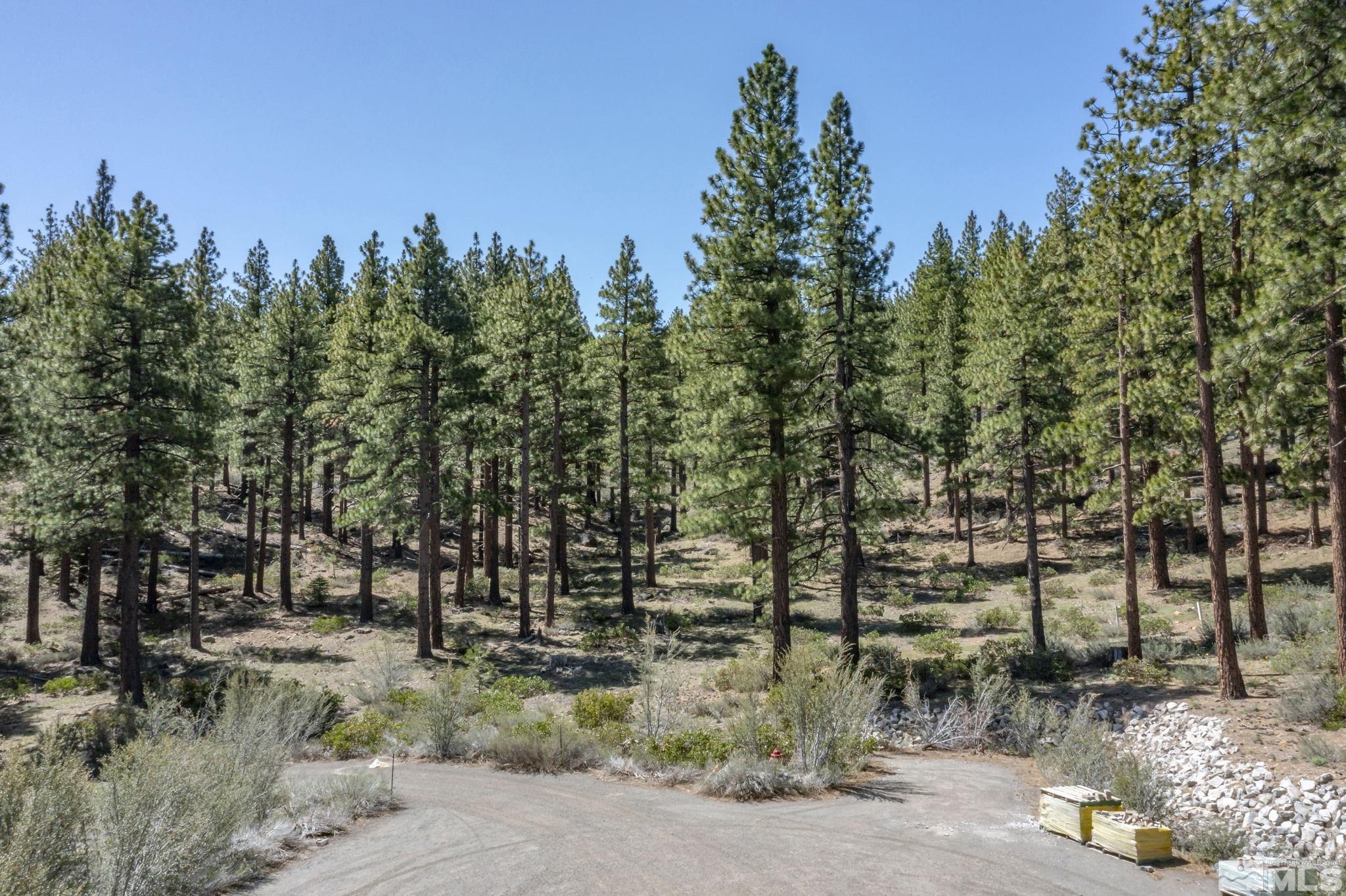 0 Abies Road, Unit PARCEL 2 Reno, NV 89511 - Photo 8 of 16 Photo 8