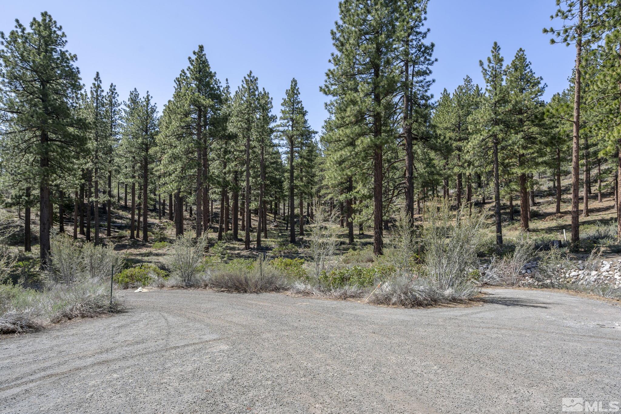 0 Abies Road, Unit PARCEL 2 Reno, NV 89511 - Photo 9 of 16 Photo 9