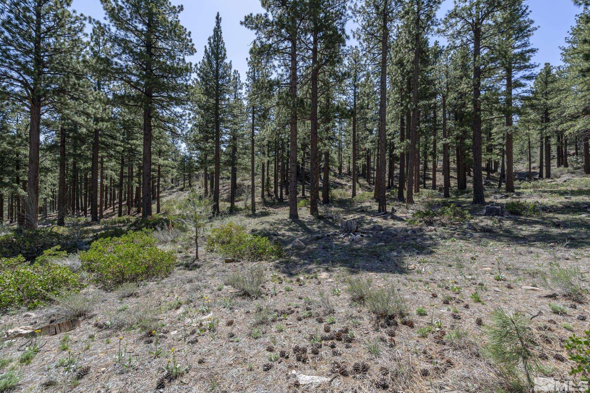 0 Abies Road, Unit PARCEL 2 Reno, NV 89511 - Photo 10 of 16 Photo 10
