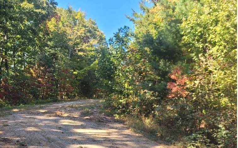 43.91 Old Burnt Mountain Road Ellijay, GA 30536 - Photo 3 of 19 a view of outdoor space and yard