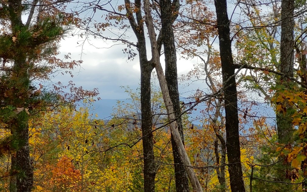 43.91 Old Burnt Mountain Road Ellijay, GA 30536 - Photo 7 of 19 a view of lake from next to a house