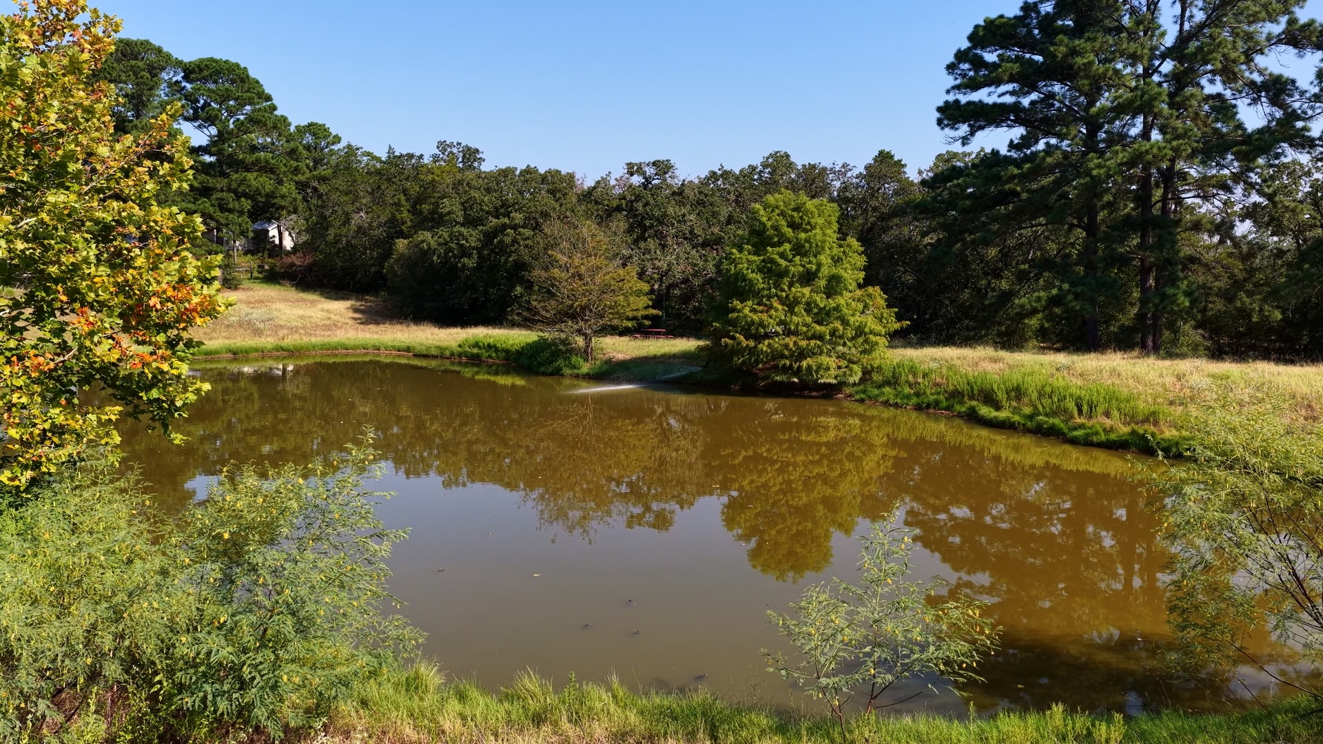 218 Little Ranch Road Red Rock, TX 78662 - Photo 5 of 33 Mature trees frame a serene private pond nestled within a rolling grassy landscape.