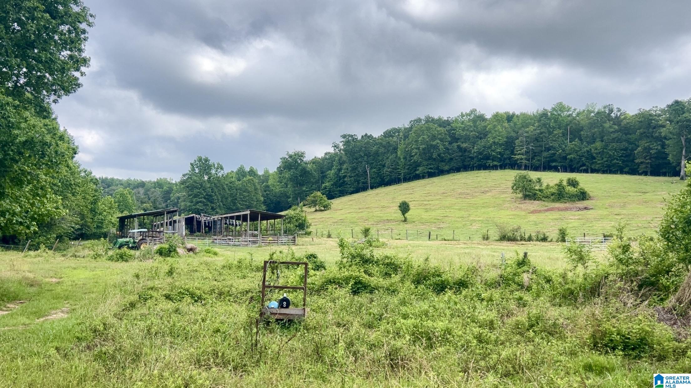 988 Mines Road, Unit 100 Ashland, AL 36251 - Photo 13 of 17