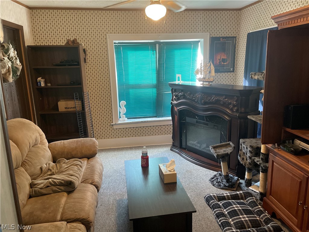 953 Davis Street Akron, OH 44310 - Photo 10 of 12 Living Room