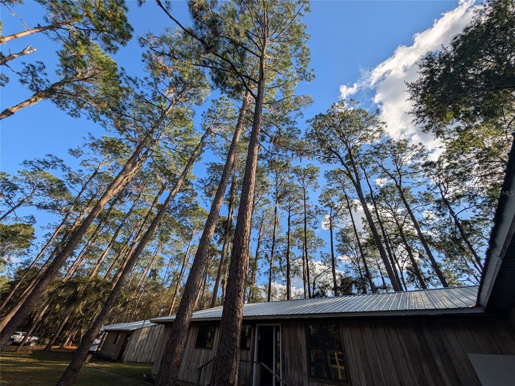 161 Riley Lake Drive Hawthorne, FL 32640 - Photo 17 of 48