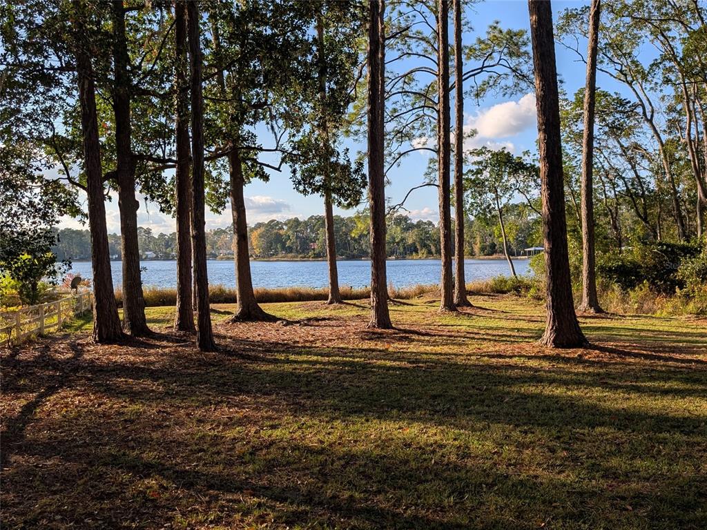 161 Riley Lake Drive Hawthorne, FL 32640 - Photo 35 of 48