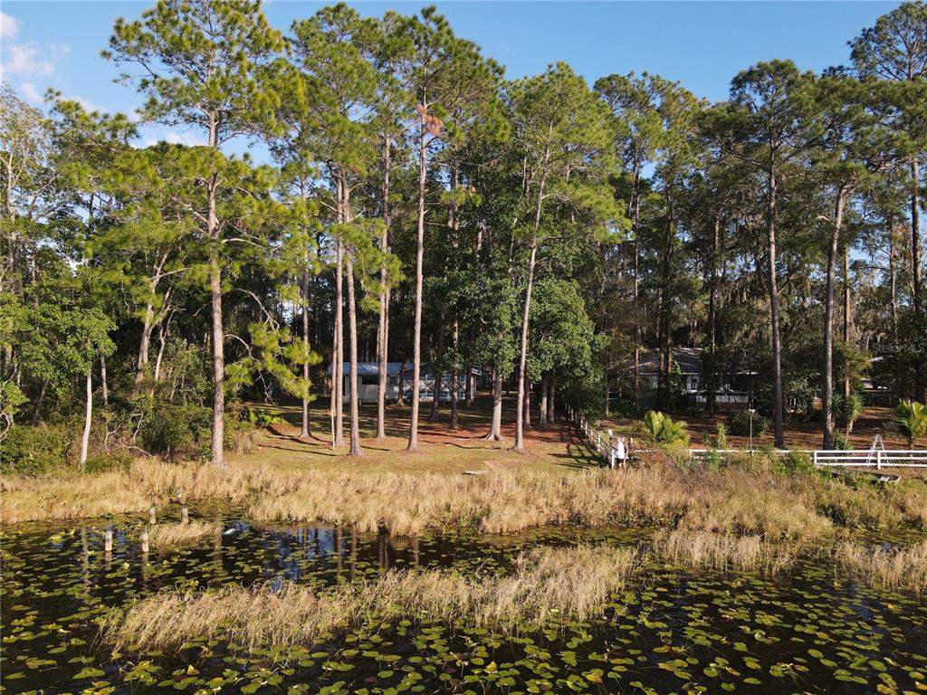 161 Riley Lake Drive Hawthorne, FL 32640 - Photo 4 of 48