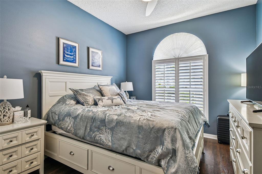 3892 Timber Ridge Court Palm Harbor, FL 34685 - Photo 33 of 55