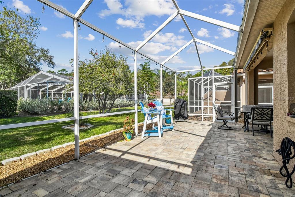 3892 Timber Ridge Court Palm Harbor, FL 34685 - Photo 38 of 55