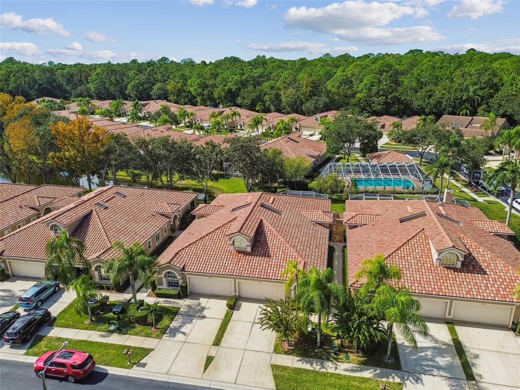 3892 Timber Ridge Court Palm Harbor, FL 34685 - Photo 43 of 55