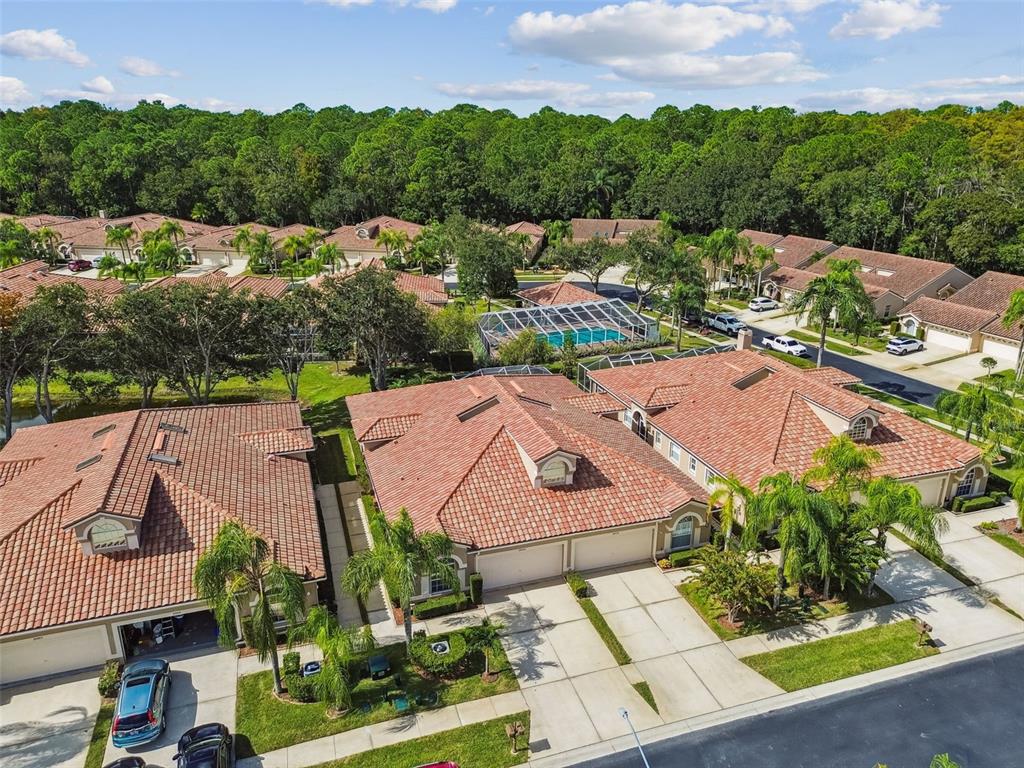 3892 Timber Ridge Court Palm Harbor, FL 34685 - Photo 45 of 55