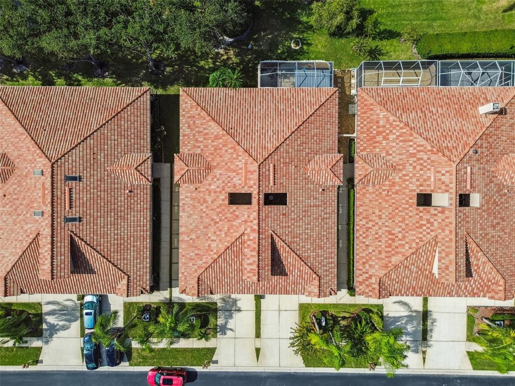 3892 Timber Ridge Court Palm Harbor, FL 34685 - Photo 46 of 55