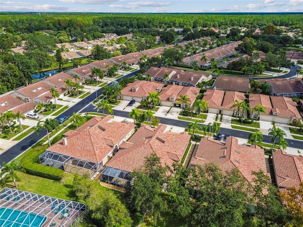 3892 Timber Ridge Court Palm Harbor, FL 34685 - Photo 49 of 55