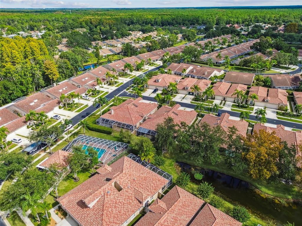 3892 Timber Ridge Court Palm Harbor, FL 34685 - Photo 50 of 55